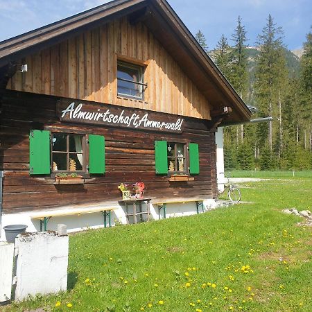 Ammerwald Alm Plansee Buitenkant foto