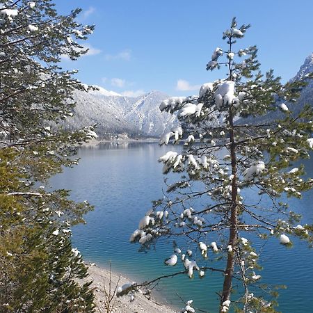 Ammerwald Alm Plansee Buitenkant foto
