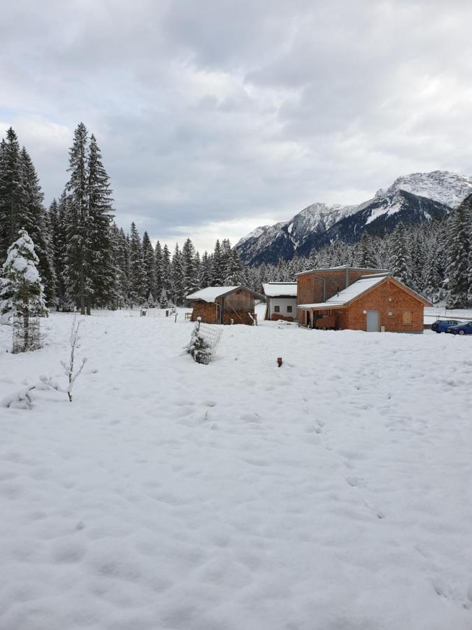 Ammerwald Alm Plansee Buitenkant foto
