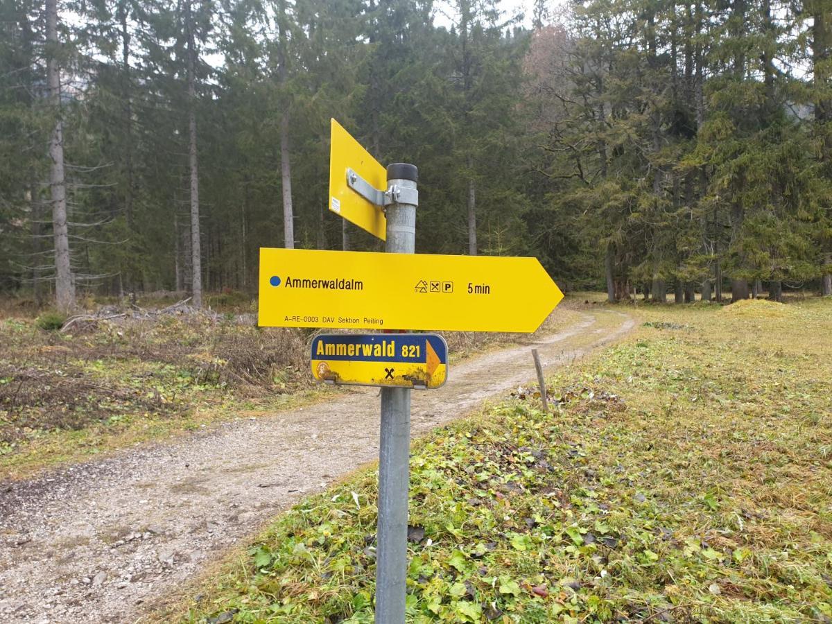 Ammerwald Alm Plansee Buitenkant foto