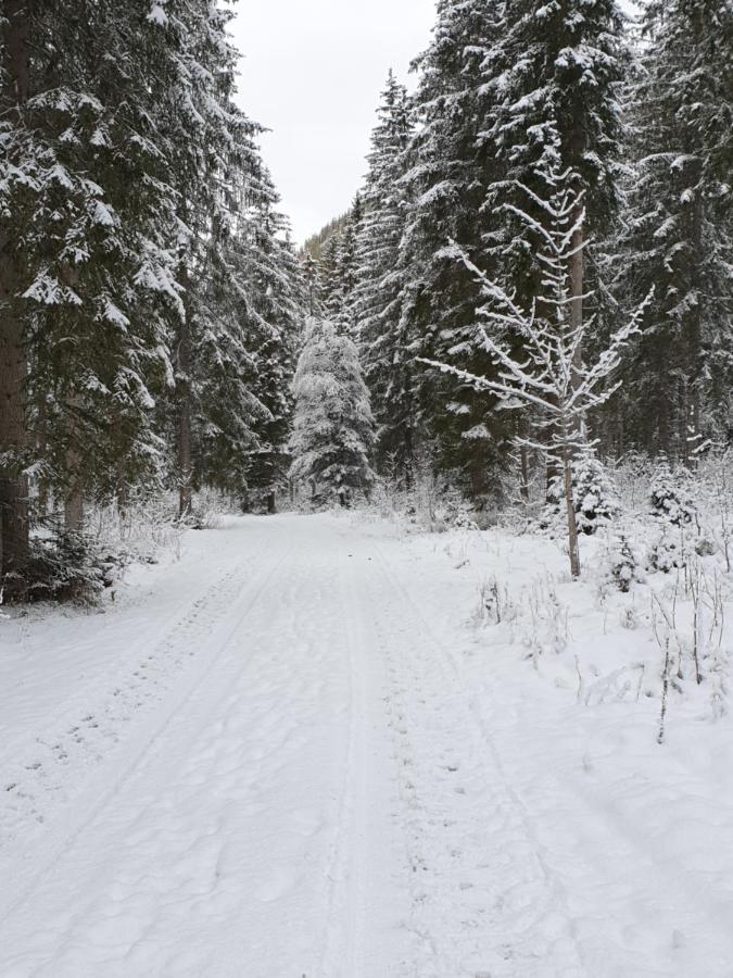 Ammerwald Alm Plansee Buitenkant foto