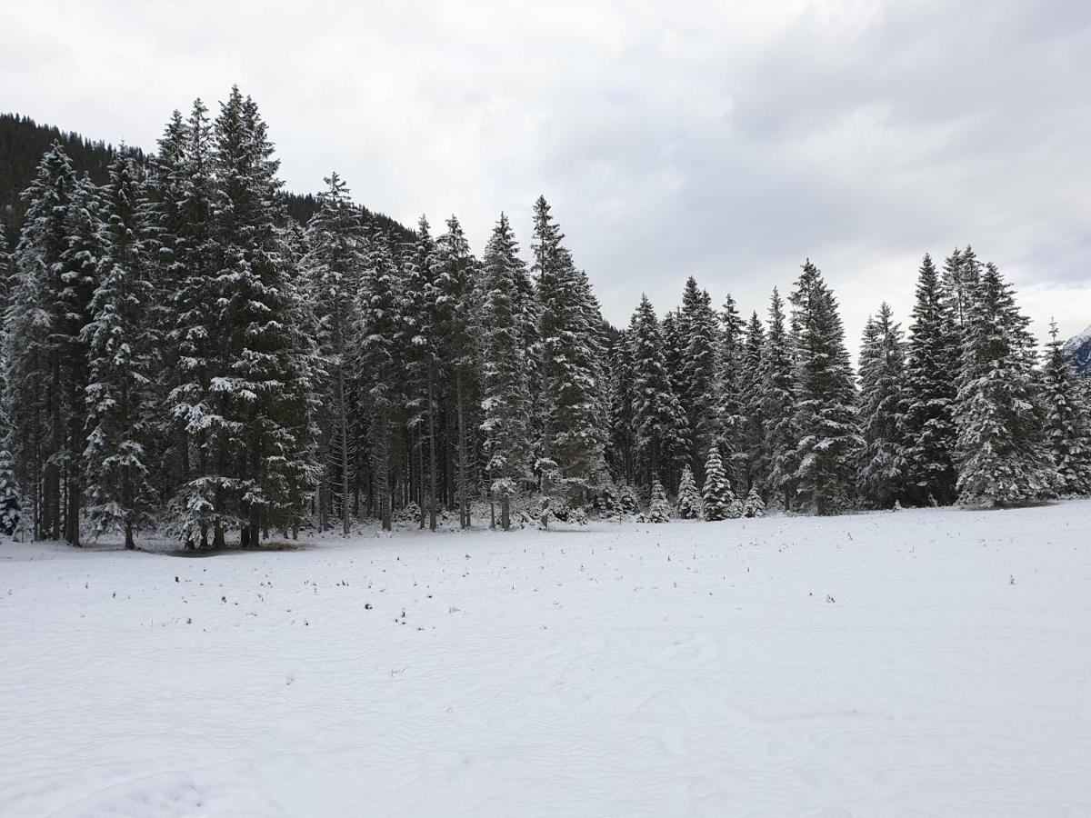 Ammerwald Alm Plansee Buitenkant foto