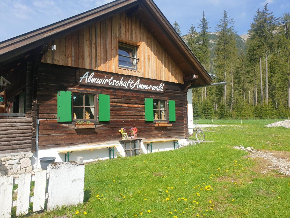 Ammerwald Alm Plansee Buitenkant foto