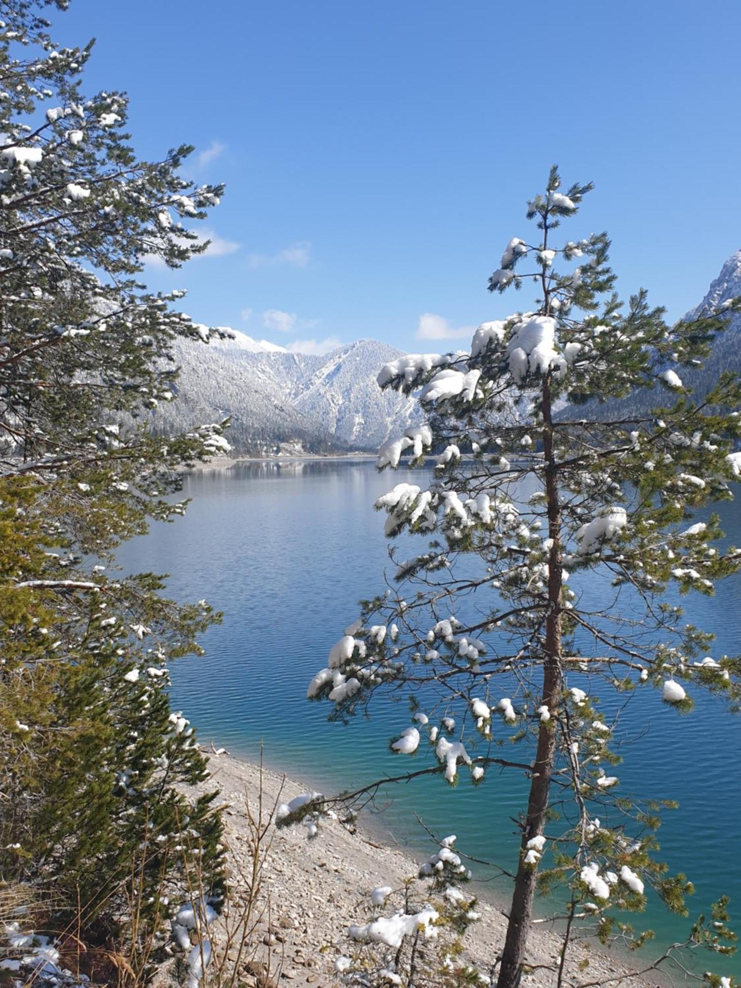 Ammerwald Alm Plansee Buitenkant foto